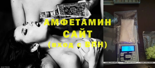 МДПВ Инсар