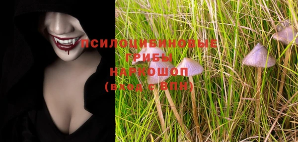 стаф Иннополис
