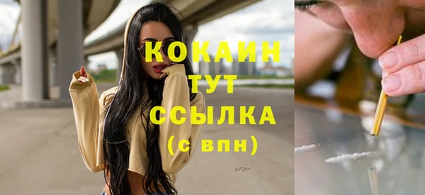 МДПВ Инсар