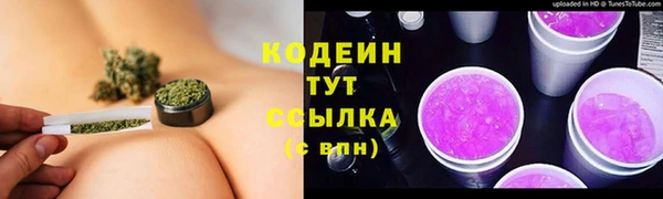 СК Зерноград