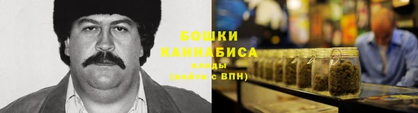 МДПВ Инсар