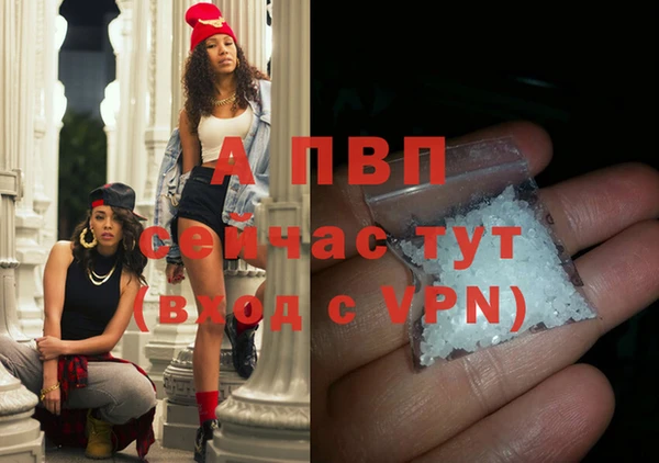 стаф Иннополис