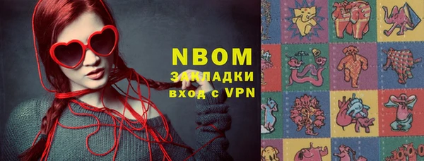 СК Зерноград