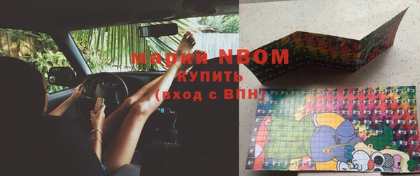 МДПВ Инсар